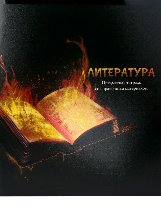 Тетрадь 48л. линия Литература "Магия предмета" стандарт, хол ф.,тв.л
