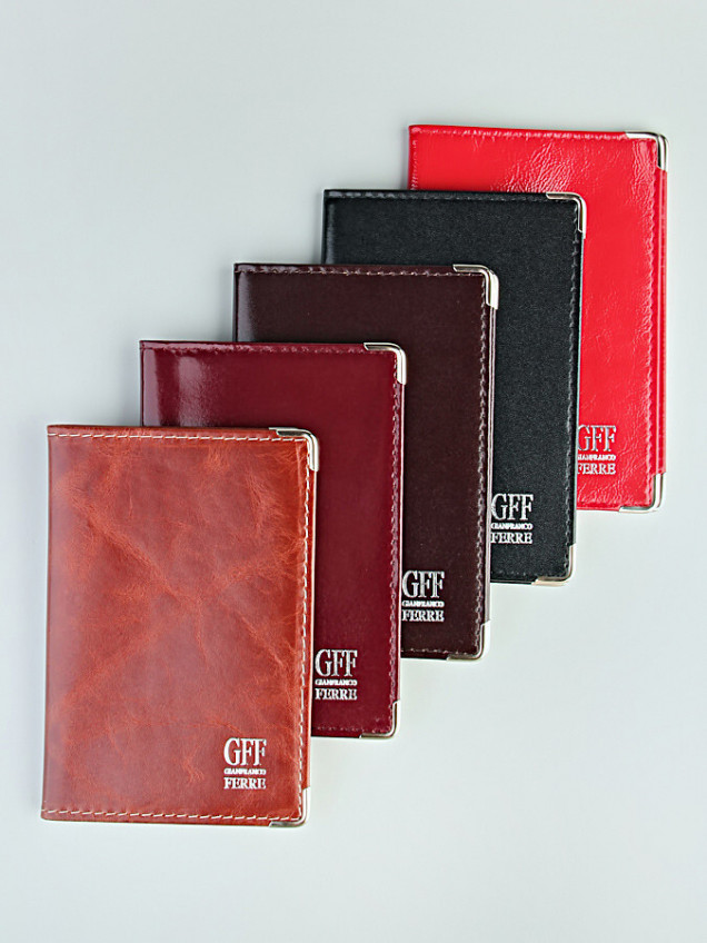 Паспорт GFF