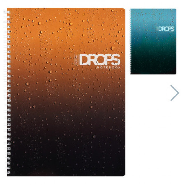 Тетрадь А4 80л линейка/гребень ламин "Drops" асс (2диз)
65г/м2 перфорация HATBER 80Т4лВ2гр