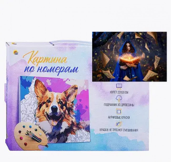 Холст с красками 30х40 по номерам "Дом в снежном шаре" в коробке (30цв.) (10317120/200825/5136393/1,Китай )