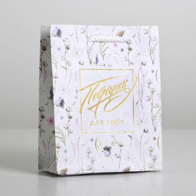 Пакет подарочный ламинированный, упаковка, Gift for you, S 12 х 15 х 5.5 см