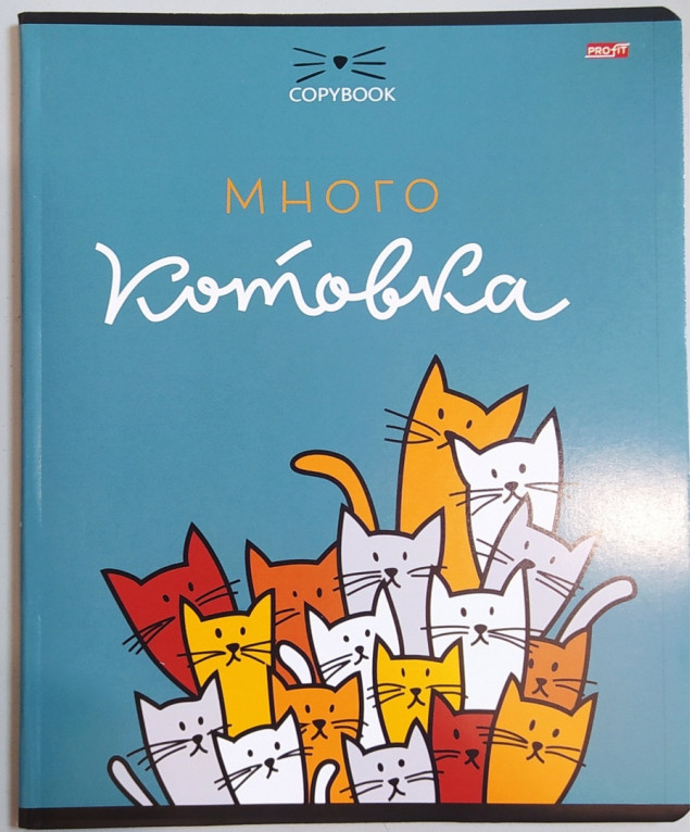 Тетрадь 48л линейка мелов "Кошечки и цитаты"ассорти (5диз) 60г/м2 ПРОФ-ПРЕСС_PROFITТ48-4380