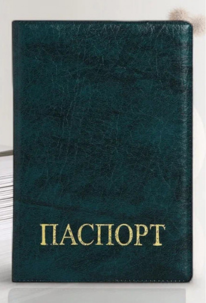 Обложка для паспорта, тиснение золотого цвета, зелёная