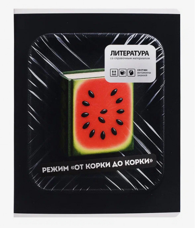 Тетрадь 48 л. линия 