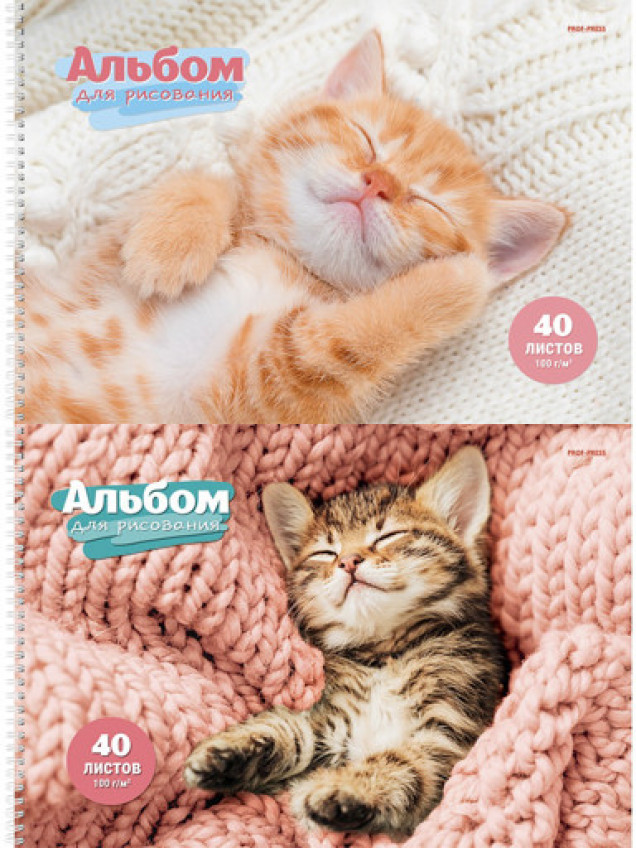 Альбом для рисования А4 40л. СПЯЩИЕ КОТЯТА (40-7882) 2 диз. в сп.. гребень. офсет