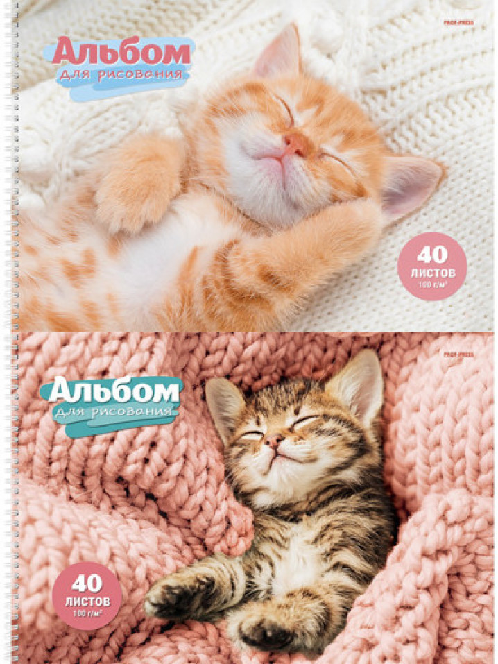 Альбом для рисования А4 40л. СПЯЩИЕ КОТЯТА (40-7882) 2 диз. в сп.. гребень. офсет
