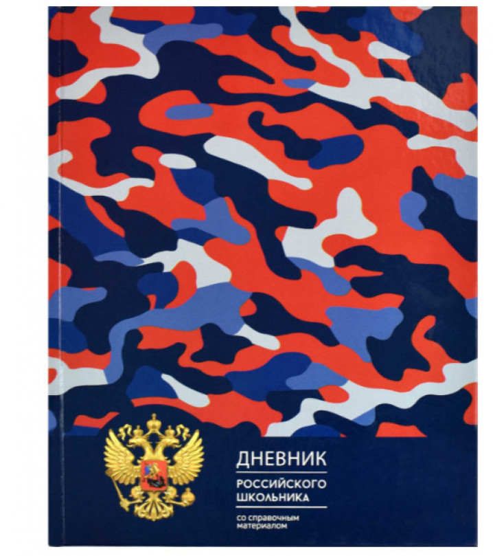 Дневник российского школьника 