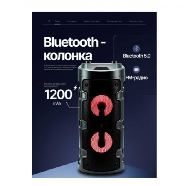 Колонка портативная DEGNE DE-2058BT black