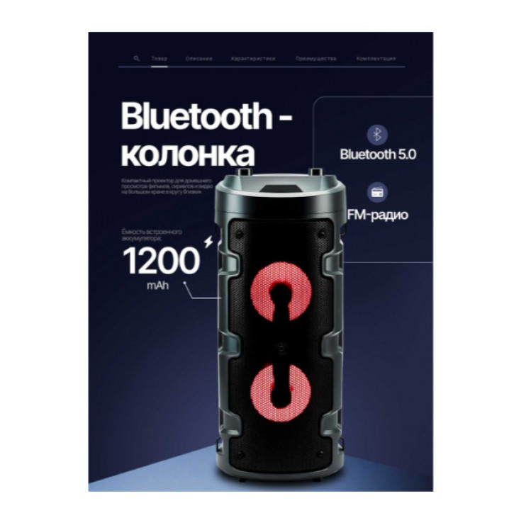 Колонка портативная DEGNE DE-2058BT black