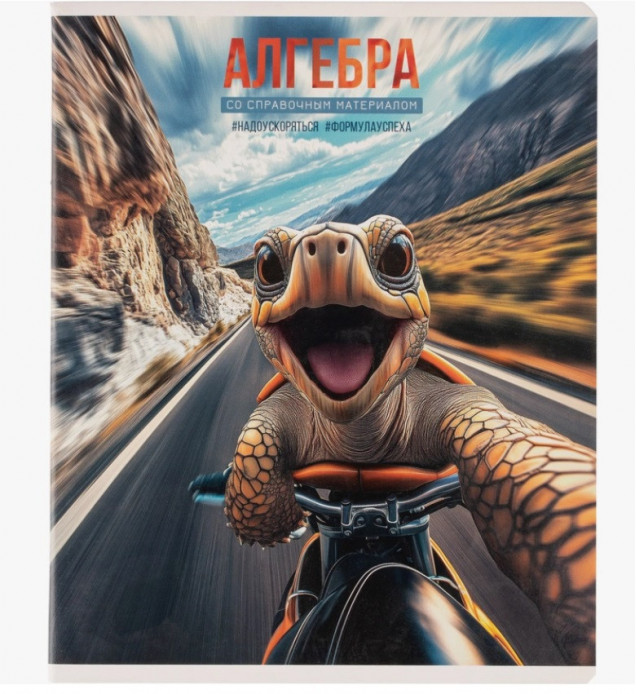 Тетрадь 48 л., клетка "Селфи" Алгебра.