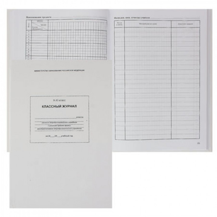 Классный журнал ПРОФ-ПРЕСС для 10-11 классов А4, 96 л. (арт. 1763791)