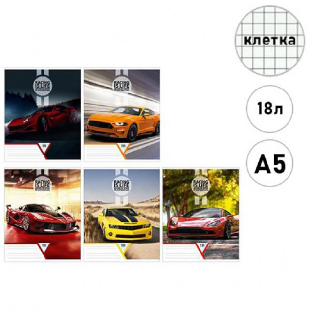Тетрадь 18л. клетка "Стильные авто"