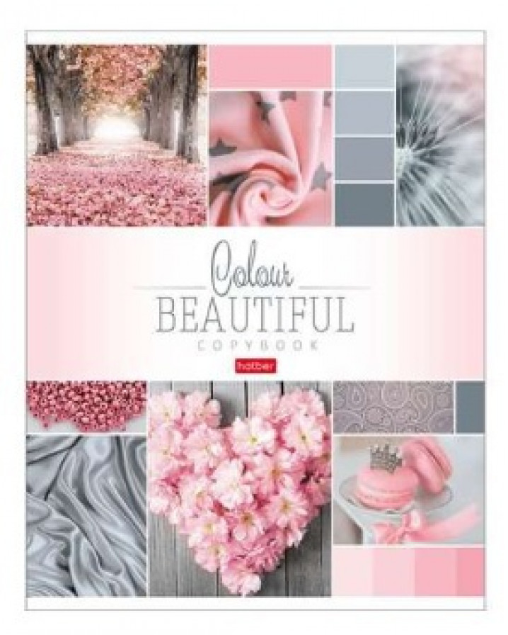 Тетрадь 96л клетка ламин "Beautiful colour" ассорти (5диз)
60г/м2 HATBER 96Т5В1