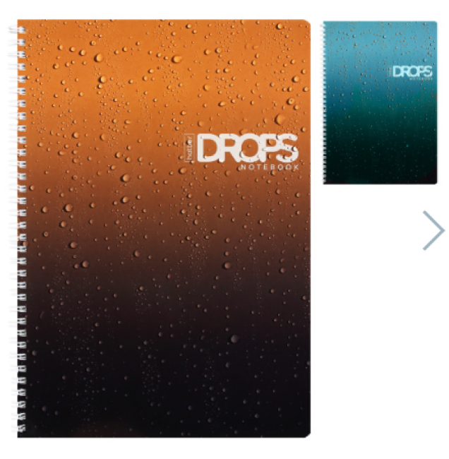 Тетрадь А4 80л линейка/гребень ламин "Drops" асс (2диз)
65г/м2 перфорация HATBER 80Т4лВ2гр