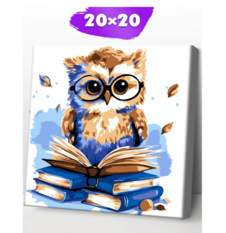 Картина по номерам "Сова с книгами" 20х20см