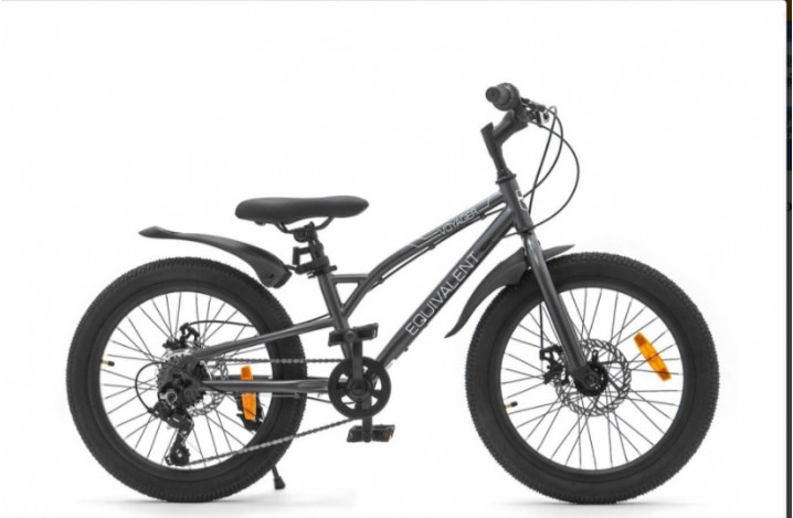 Велосипед 20" EQUIVALENT VOYAGER MD (7-ск.) (рама 10) Темно серый матовый (МЯГКАЯ УПАКОВКА)